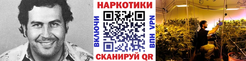 Виды наркотиков купить Полярные Зори ГАШИШ  АМФ  Меф мяу мяу  Псилоцибиновые грибы  Alpha PVP 