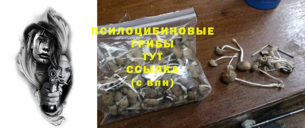 эйфоретик Нягань