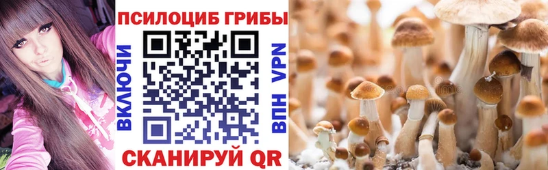 Галлюциногенные грибы мицелий  МЕГА   Полярные Зори 